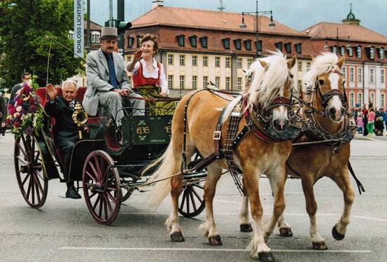 Hochzeitskutsche In Wien Hochzeit Kutsche Hochzeitskutsche Und Wien